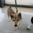 선산대로-18 이미지