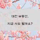신흥푸르지오공인중개사사무소 | 대전 부동산, 지금 사도 될까요?