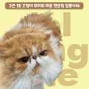 달봉이네 대연점 이미지