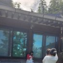 꽃냥이네 촌집 이미지