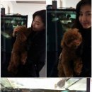 애완상회 이미지