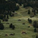 세븐일레븐(공항점) 이미지