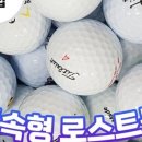 주식회사더골프 이미지