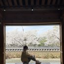 흥국로 Daum카페