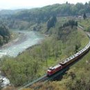 여행 가면 꼭 한번 먹어봐야 할 '지역 대표음식들' 이미지