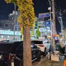 영플라자 앞 | [울산/삼산] 신상 맛집 손정보쌈 내돈내산 솔직후기(예전팔각도자리)