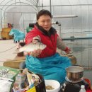 그린 낚시터 이미지