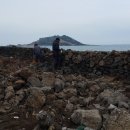 해송당한의원 | [제주돌담]나, 여기 있어..(feat. 해송당한의원)