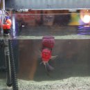 삼산상회 이미지