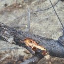 순리대로 이미지