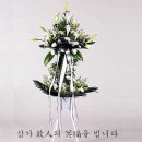 의림투어주