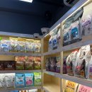 도그랑힐스 이미지