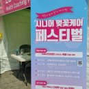 성내7교와 성내6교 사이 | 담기는 벚꽃비 구경. 여좌천 벚꽃길 로망스다리 &amp; 벚꽃구경 안내도! 진해군항제 숙소 루이스호텔 후기