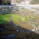 고성자연사박물관 이미지