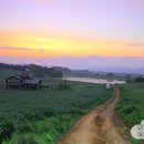 빠담목장 이미지