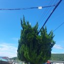 가덕도 펜션민박 이미지