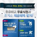 요소수란