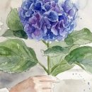 목화마트 이미지