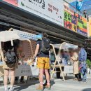 세로움 | 전국안주자랑,잊지못할 추억의 감성축제! 또 가고싶은 곳~!