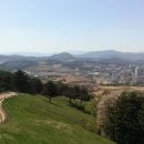 기원목장 Daum카페