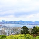 망향로 이미지