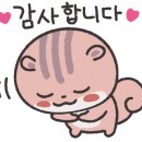윤토탈인테리어