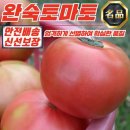토마토 이미지