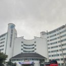 파인리조트 | 솔직히 말하면, 잠만자려고 잡은 설악파인리조트 후기