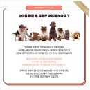 펫씨유