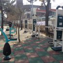 충주 충주남한강초 충북일보
