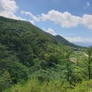 어상천면사무소 이미지