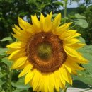 선운산농협 공음지점 이미지