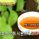 김종연농장 이미지