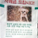 동암역 남광장 이미지