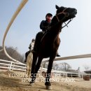 용인씨씨승마클럽 이미지