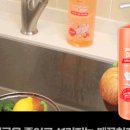 저자극 안심 믿을 수 있는 대쉬-자몽허니 과일채소용 주방세제+베어블 수세미 사용후기