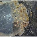 경인로193번길 | 갑자기 집안 물 흐름이 심상치 않을 때, 마음 든든한 배관 돌봄 이야기에요