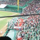 스카이박스 이미지