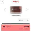 와이에스제이 네이버블로그
