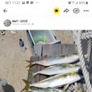 씨알데이타 이미지