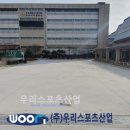 동국대학교사범대학부속여자중학교 이미지