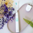 이가의안클린 이미지