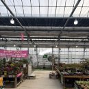 쉐르홈즈 이미지