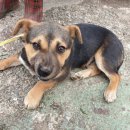 거제북로 이미지