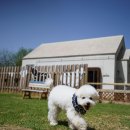 반디빌리지 이미지