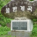 7월24일 영동민주지산(물한계곡) 이미지