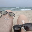 안덕면 상창 신남밭 | 🌴[SUMMER VACATION] 제주여행3탄🌴물놀이💦, 맛집, 흑돼지오마카세🥩까지 제주 3일차 알차게 폭풍 즐기기