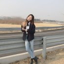 고성희 카카오 검색결과