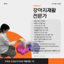 도그레잇 네이버블로그