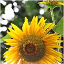 너른마당 이미지